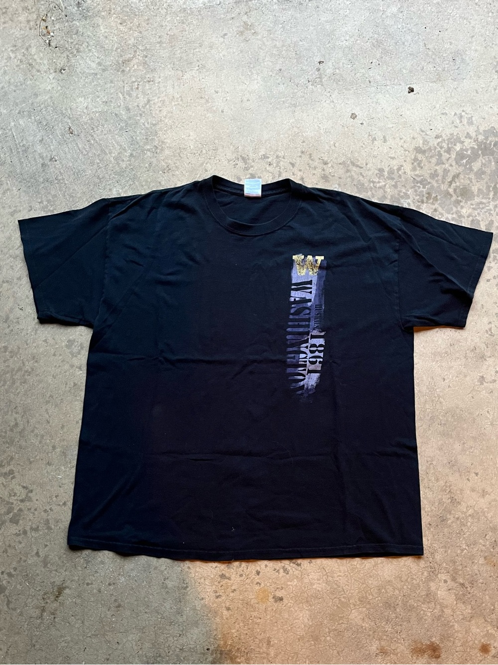 Gildan Black Short Sleeve Tee with Vertical purple& Gold Graphic